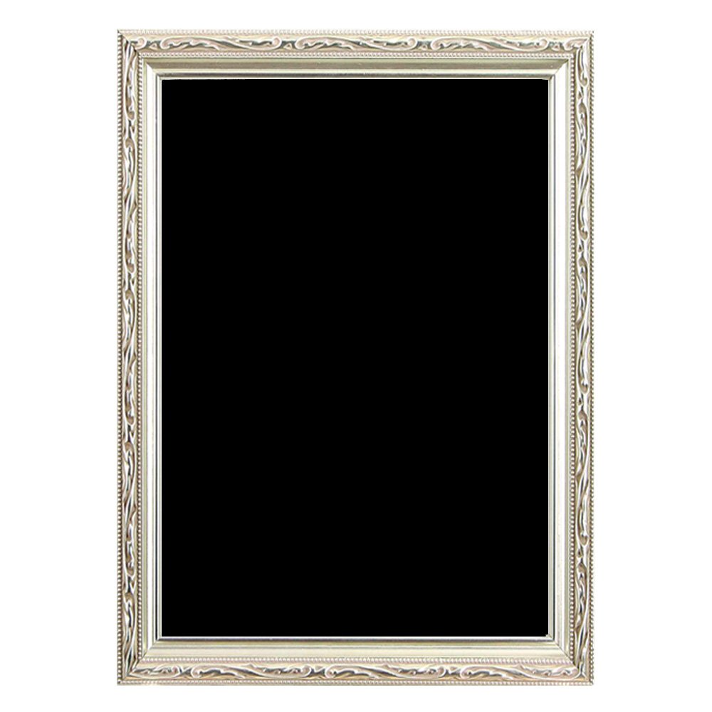 Amazon.co.jp: アートプリントジャパン 額縁 シルバー 29.7×42cm